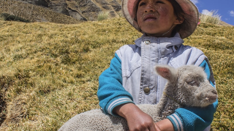 足球队员之间传球路线与频率的网络关系图